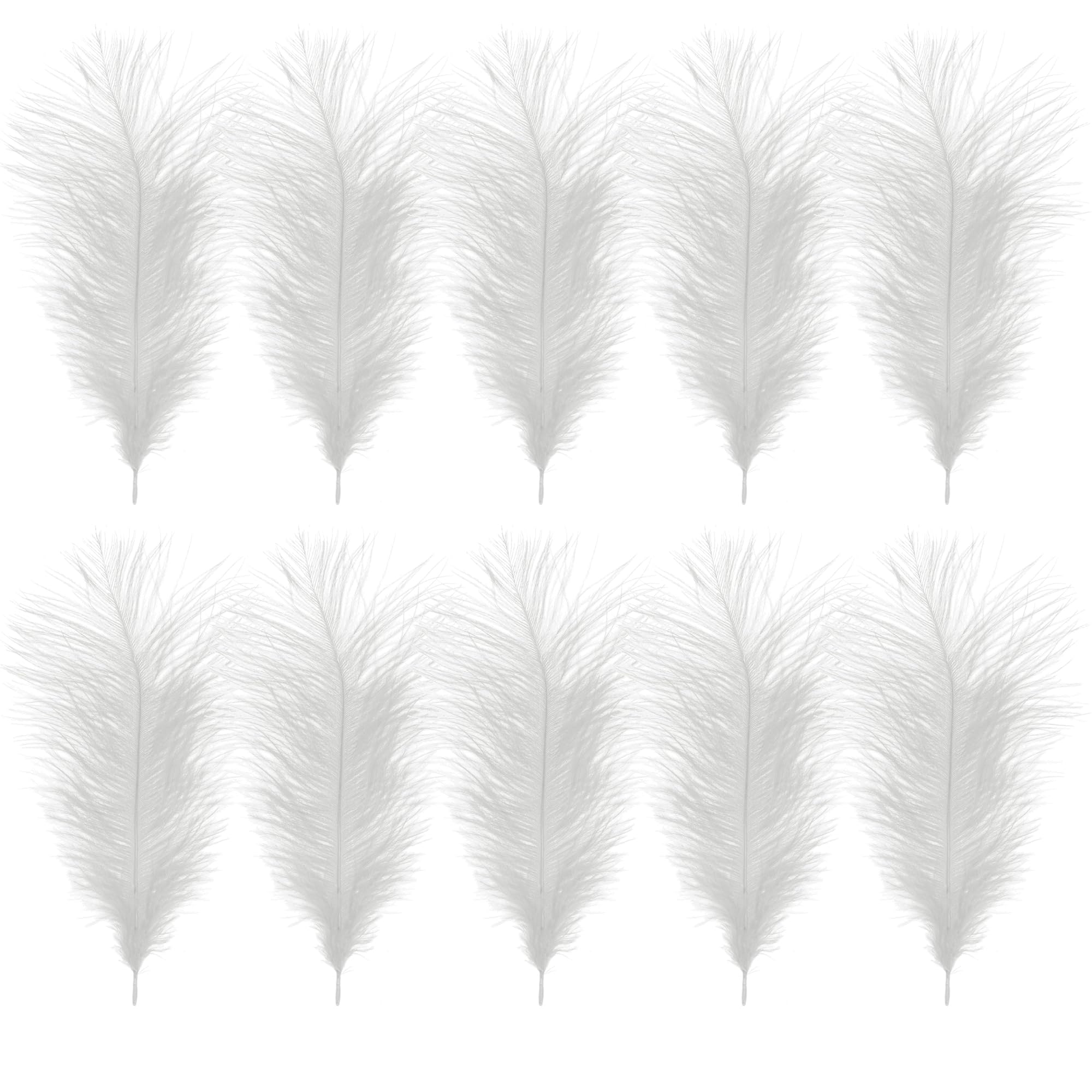 Trimming Shop 14-16inch(35-40cm) White Ostrich Feathers Plume, Pack of 10