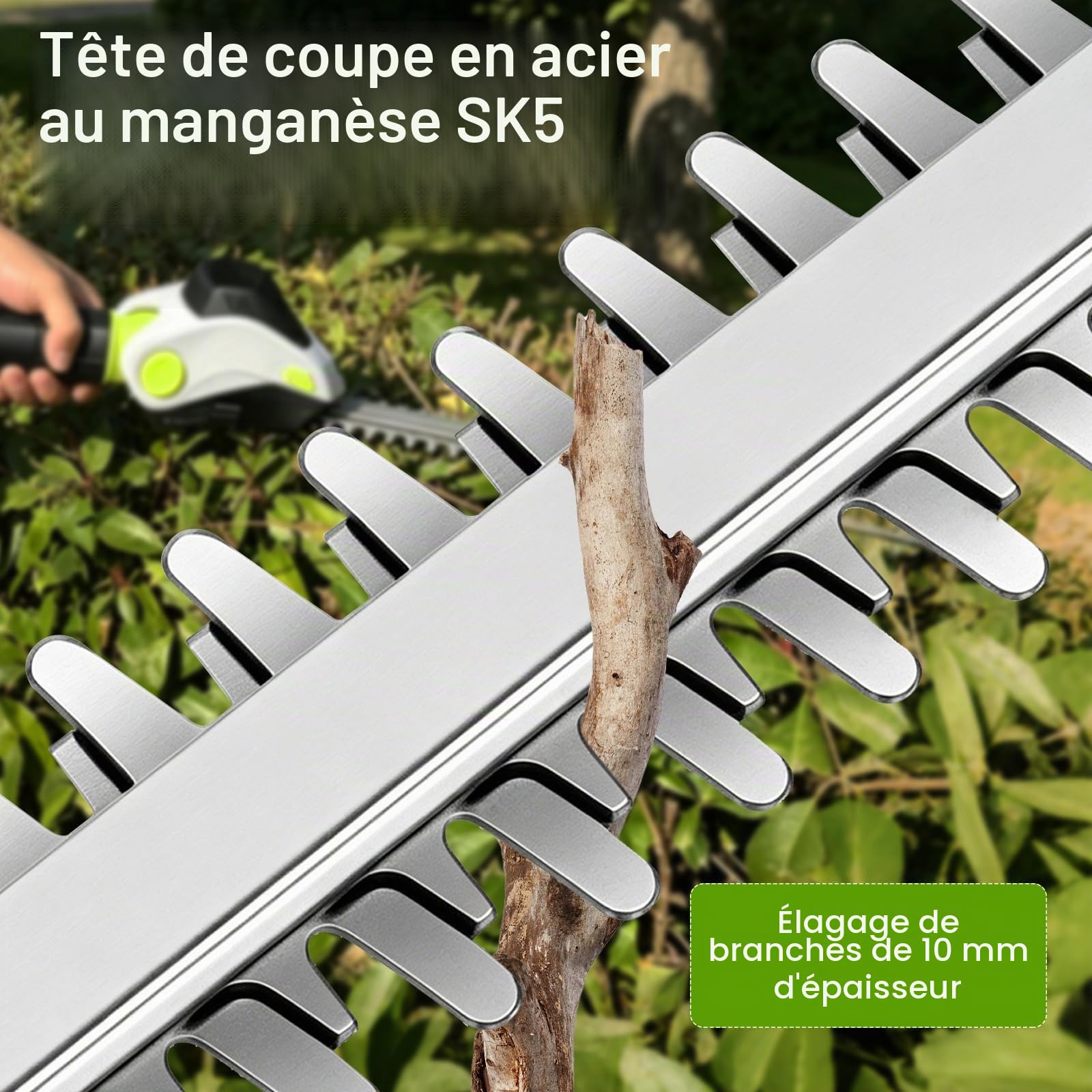 2 en 1 Taille Haie et Cisaille à Gazon, Taille Haie Electrique sans Fil avec 2 Batterie et Câble de Charge, Sécateur Electrique avec Téléscopique pour Arbustes Jardin Gazon Pelouse