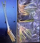 Review Image by David Hoctor David Hoctor