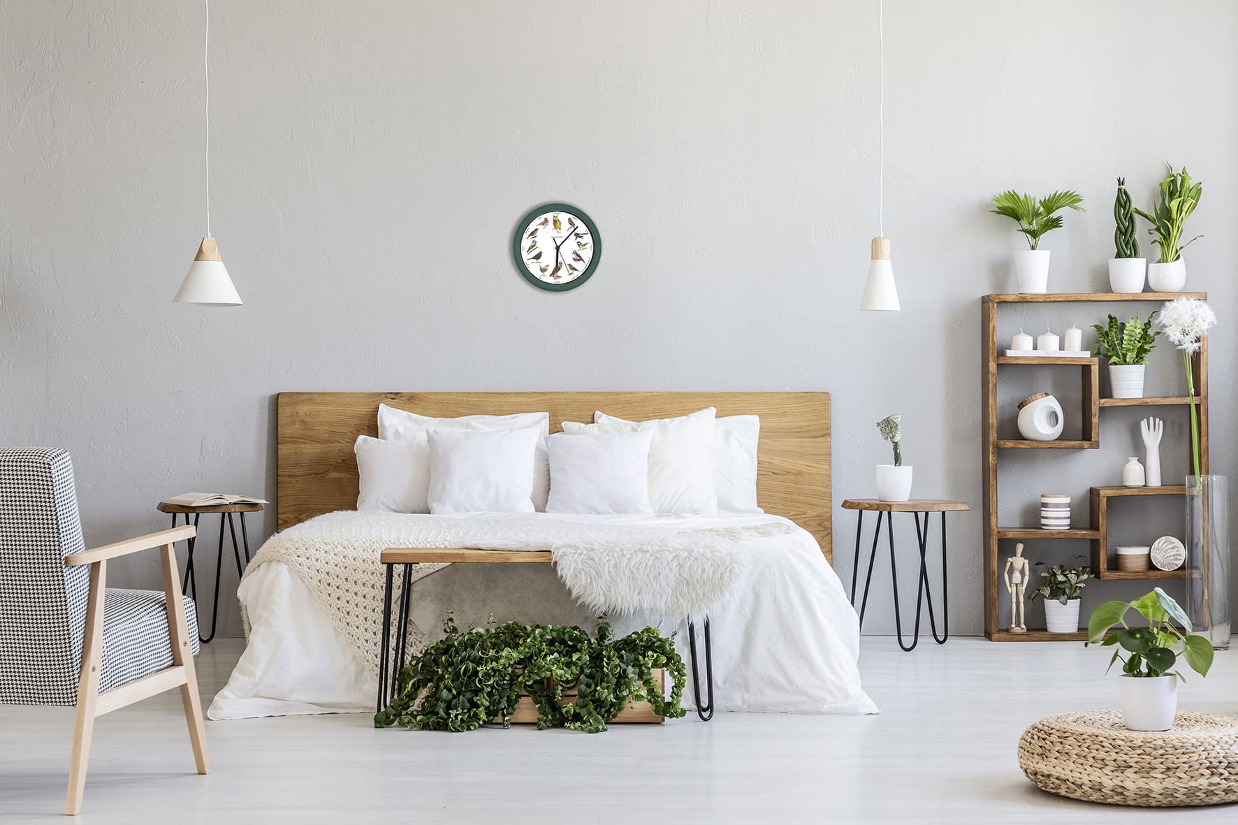 STARLYF Orologio da parete Birdsong Clock, Con suoni reali di 12 diversi uccelli, calendario del silenzio di notte, Ogni ora canta uno dei 12 uccelli canori locali, 25 cm di diametro