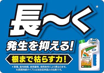 あずき1剤12本　2剤　1本　よろしくお願いします。 ゴキッシュ スッ、スゴい！ 60プッシュ | マツキヨココカラ