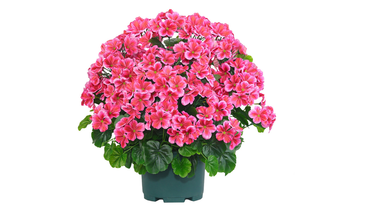 Amazon.com - QIANYUN Artificial Topiary for Outdoors- 20” Potted