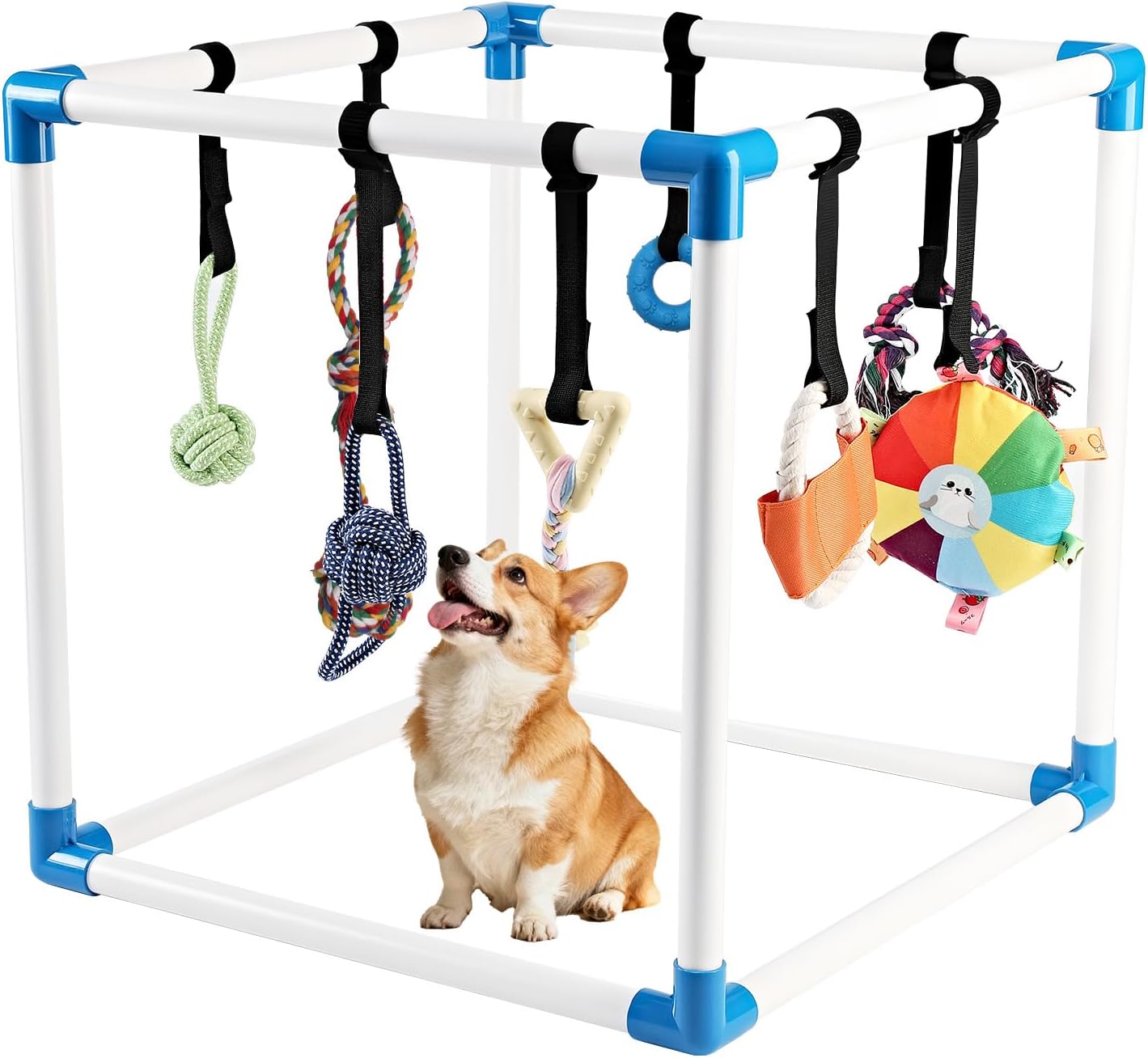 Puppy Play Gym for Small Dogs, Indoor Teething Station with 8 Toys