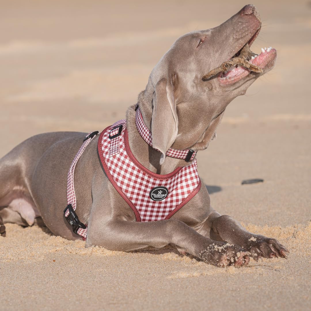 Pack Arnés,Correa y Portabolsas Granate para Perro Ajustables de Neopreno – Diseño Vichy, Cómodos y Resistentes – 5 Tallas