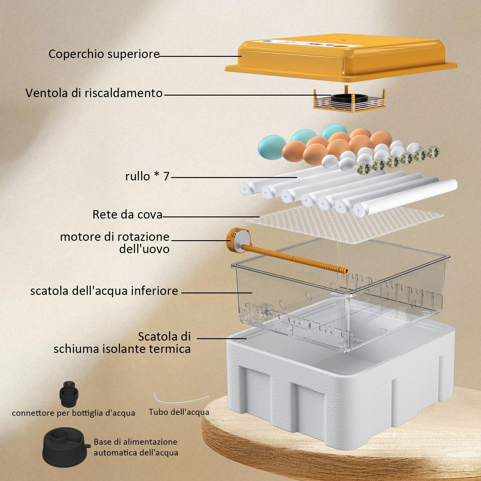 Incubatrice per Uova Automatica, Incubatrice per 36 Uova Gallina con Controllo Temperatura, 5 Modalità di Incubazione Automatica, Display Umidità, Riempimento Automatico dell'acqua e Girando