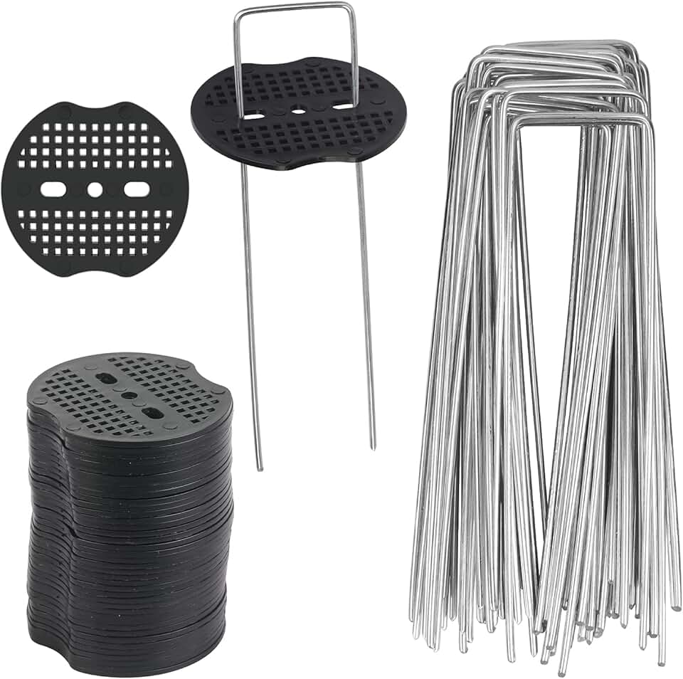 Amazon.fr sardine Jardin