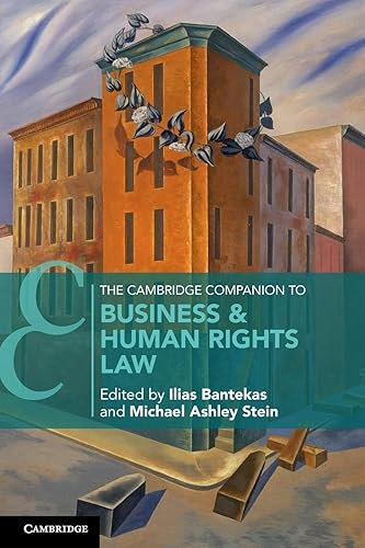 The Cambridge Companion to Business &amp; Human Rights Law (Cambridge Companions to Law)