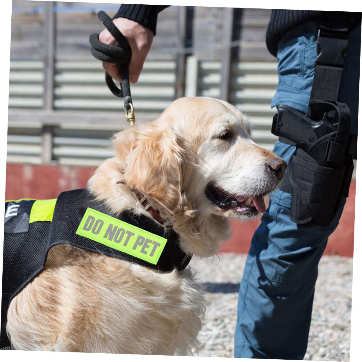 2 Reflektierende Aufnäher Für Service-Hunde – Do Not Pet, Mit Klett – 5x15 Cm