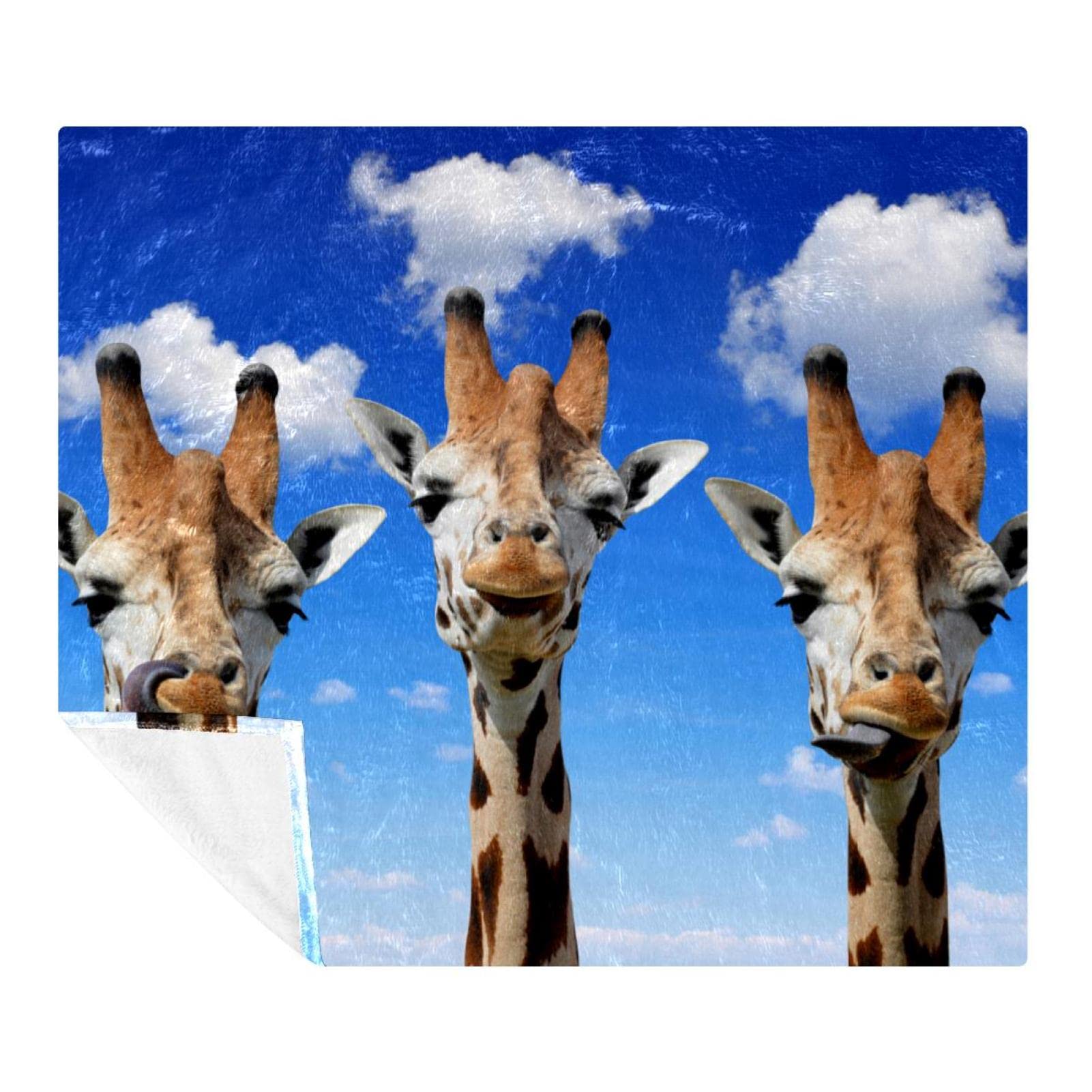 Couverture polaire de literie motif girafes pour sol et canape design