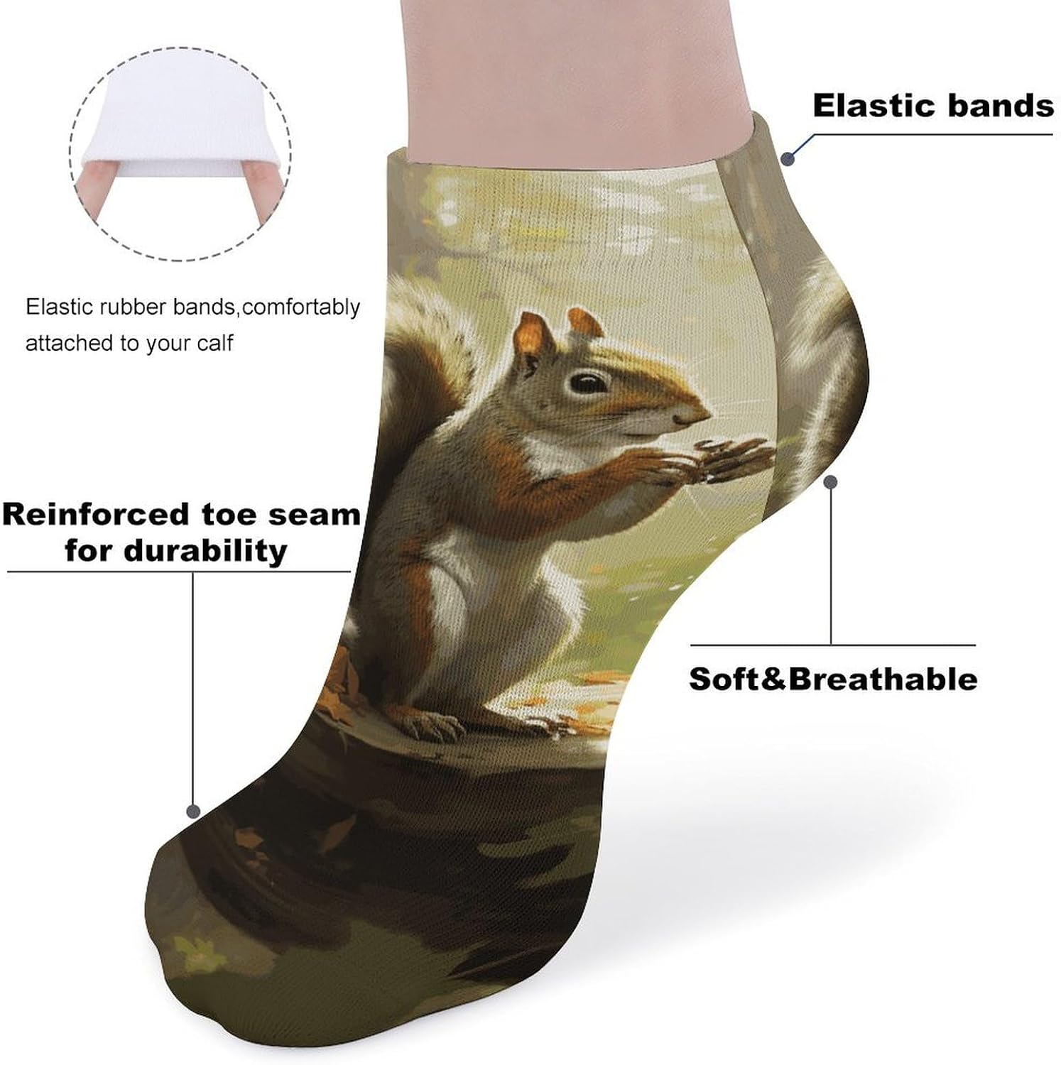 5 Pairs Squirrel Eats Nuts-png Ankle Socks Breathable Low Cut Short Socks