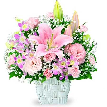Amazon 誕生日フラワーギフト ユリとデンファレのキュートアレンジメント Ya00 花キューピット 花 誕生日 お祝い 記念日 プレゼント フラワーアレンジメント オンライン通販 Amazon 誕生日フラワーギフト ユリとデンファレのキュートアレンジメント Ya00 花キューピット 花 誕生日 お祝い 記念日 プレゼント フラワーアレンジメント オンライン通販