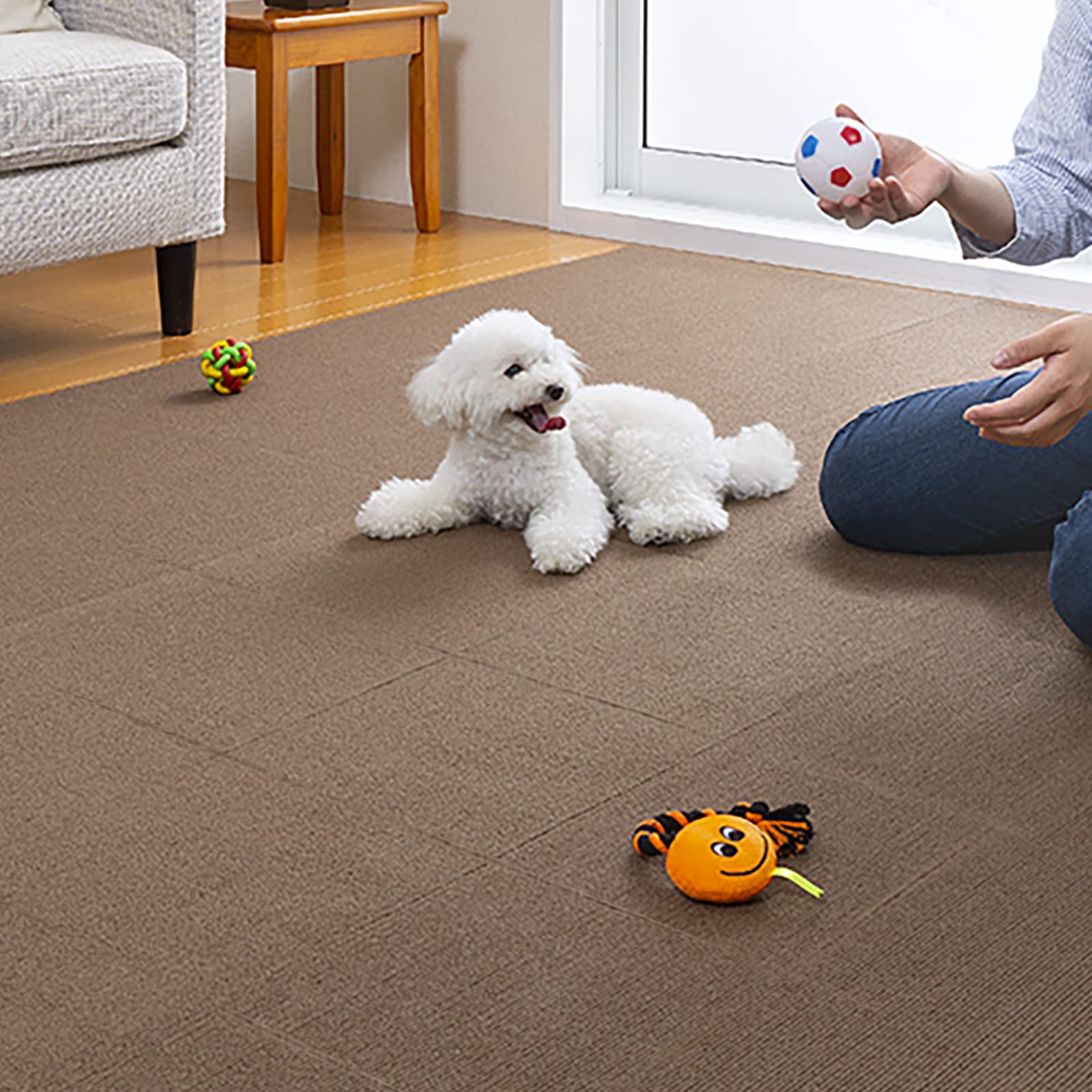 Amazon｜サンコー ずれない タイルカーペット ペット用 30×30cm 