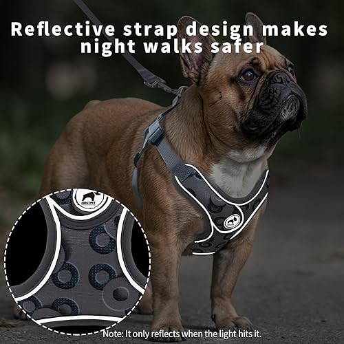 Miniatura 48 de Arnés para perro con correa, arnés ajustable sin tirones, arnés con chaleco acolchado transpirable para perros pequeños, medianos y grandes