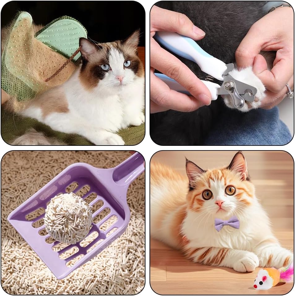 Kitten Starter Kit - 16 Pcs Cat Essentials Set Includes Litter Box, Toys, Collars, Scratch Pad, Nail File, Automatic Feed Bowls, Grooming Gloves (Purple, 16 Pcs)