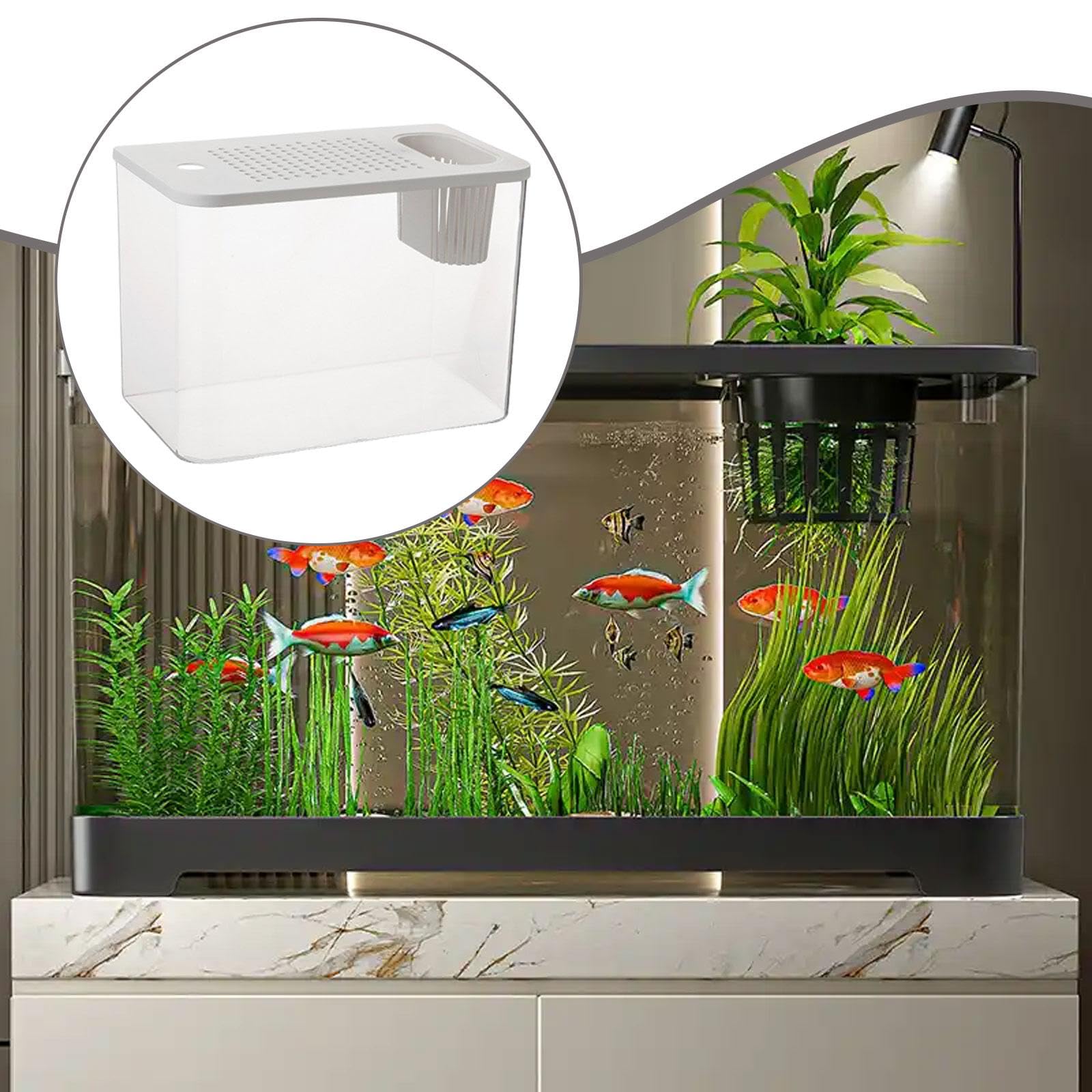 Reptilien Terrarium, Zubehör für Kleine Aquarien, Transparenter Lebensraum, Futterbox für Frösche, Schildkröten, Kampffische, Krebse, Weißer Deckel