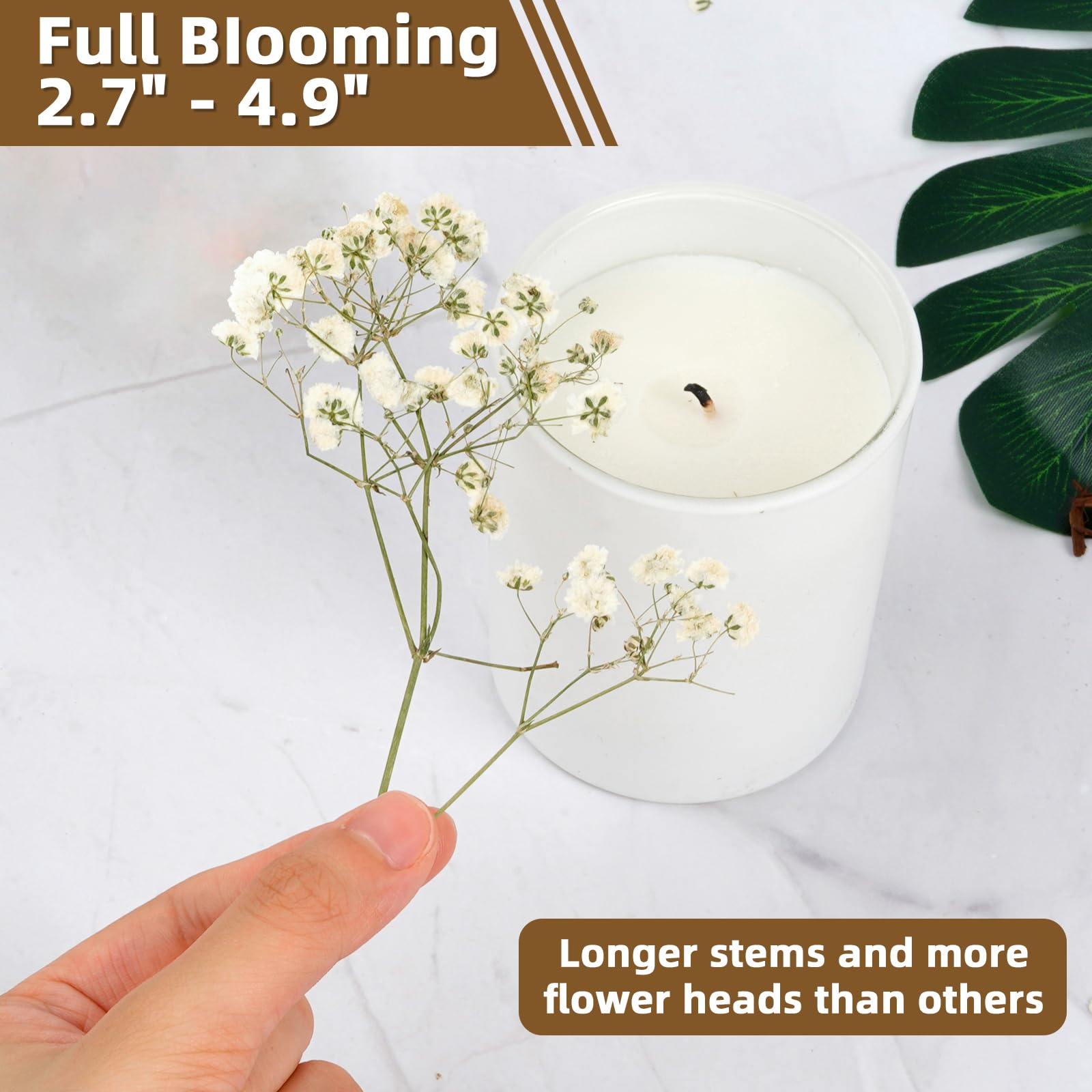145 Pièces Fleurs Séchées Naturelles - Gypsophile Et Autres Variétés Pour DIY, Résine, Scrapbooking, Bijoux, Décoration | Lot Créatif