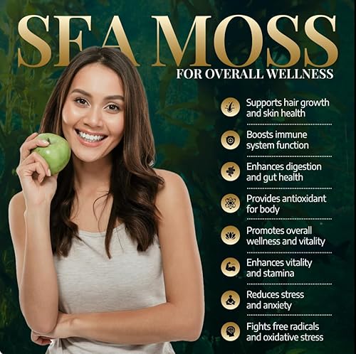 Miniatura 5 de Quiv Paquete de bienestar definitivo, 60 unidades cada uno, musgo marino y shilajit todo en uno