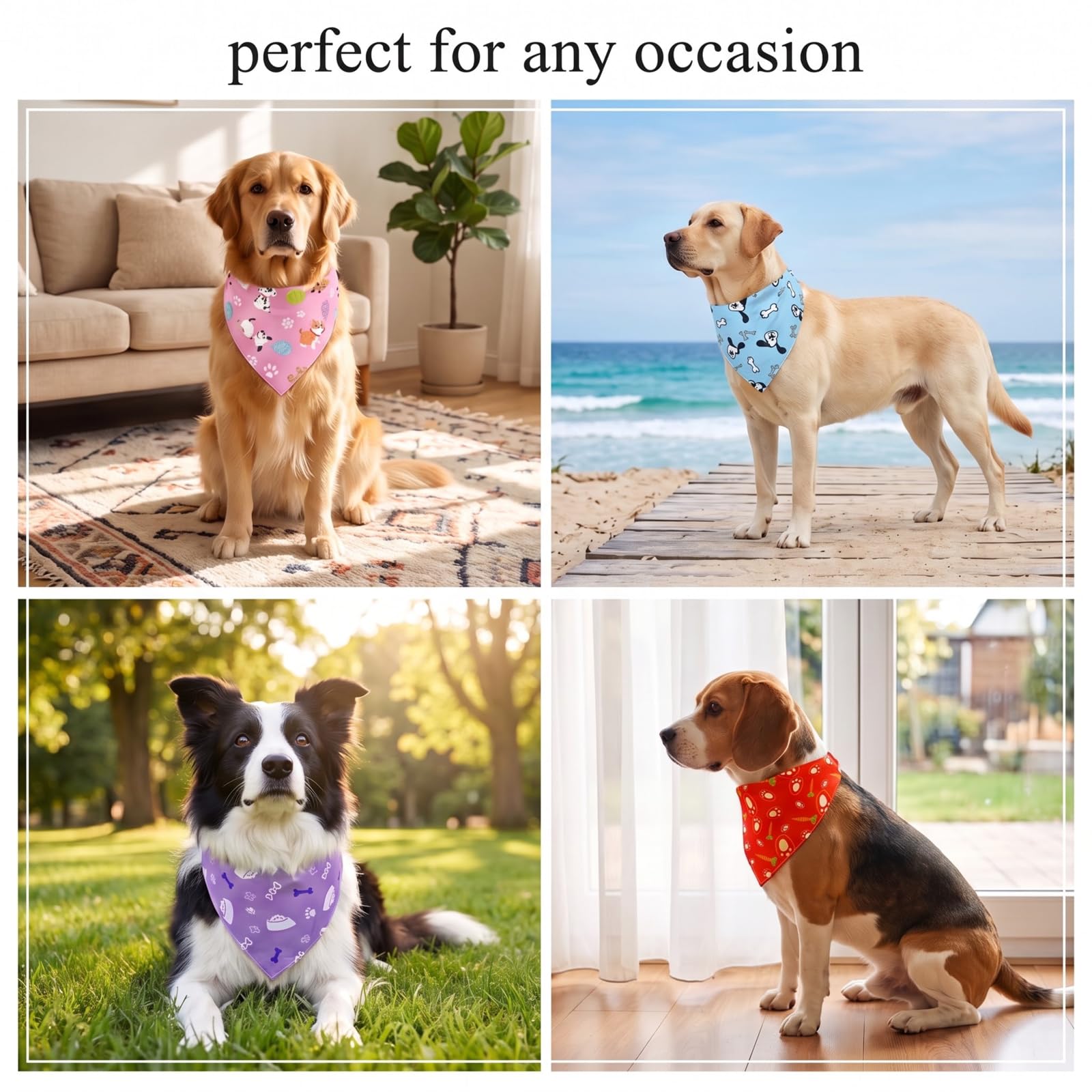 Bandana regolabile per cani, 4 pezzi
