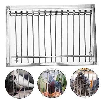 銅製:夫婦鳩(小判台付) Amazon | PATKAW 鳥 鳥 籠 鳩 入口 入口 扉 金属 扉 鳩 用品 鳩