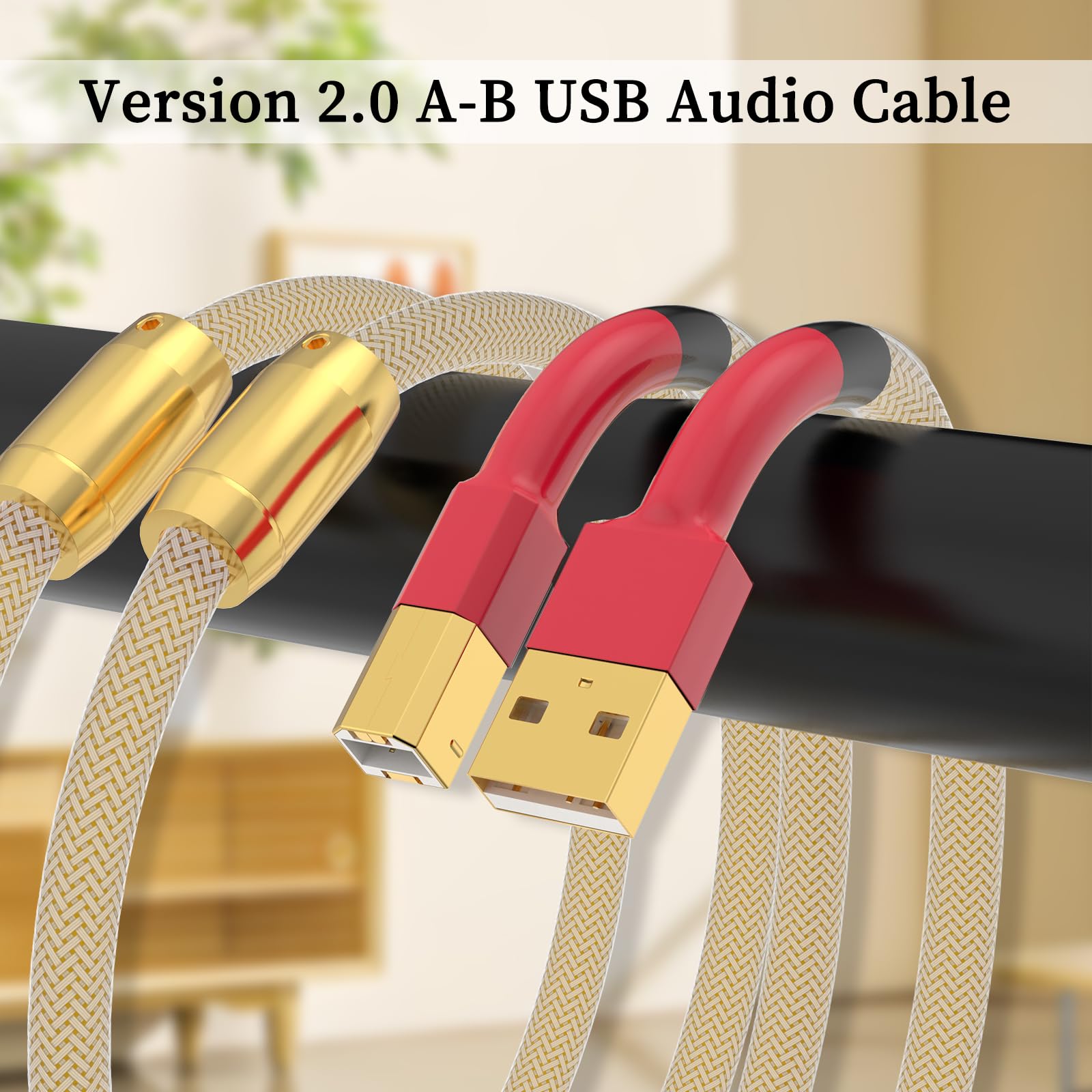 Câble USB HiFi OCC plaqué argent USB 2.0 type A vers B Audiophile USB fil A-B DAC décodeur imprimante câble de données (A71USB2M)
