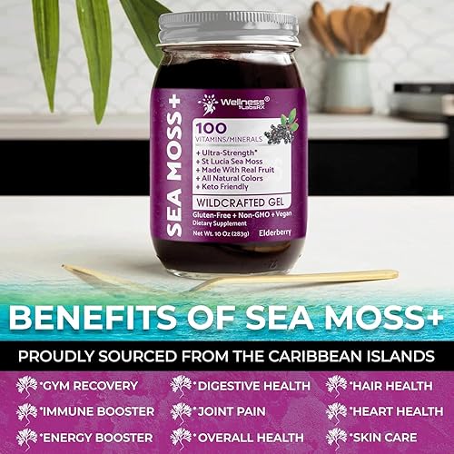Miniatura 4 de Irish Sea Moss Gel orgánico crudo  Gel de masa marina de superalimento silvestre  Sabor a baya de saúco, rico en vitaminas y minerales de aguas