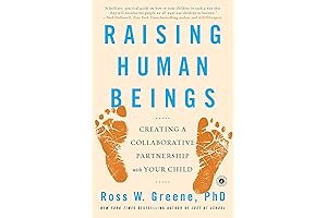 Raising Human Beings: Practical Collaborative Tools for Creating a Peaceful Family