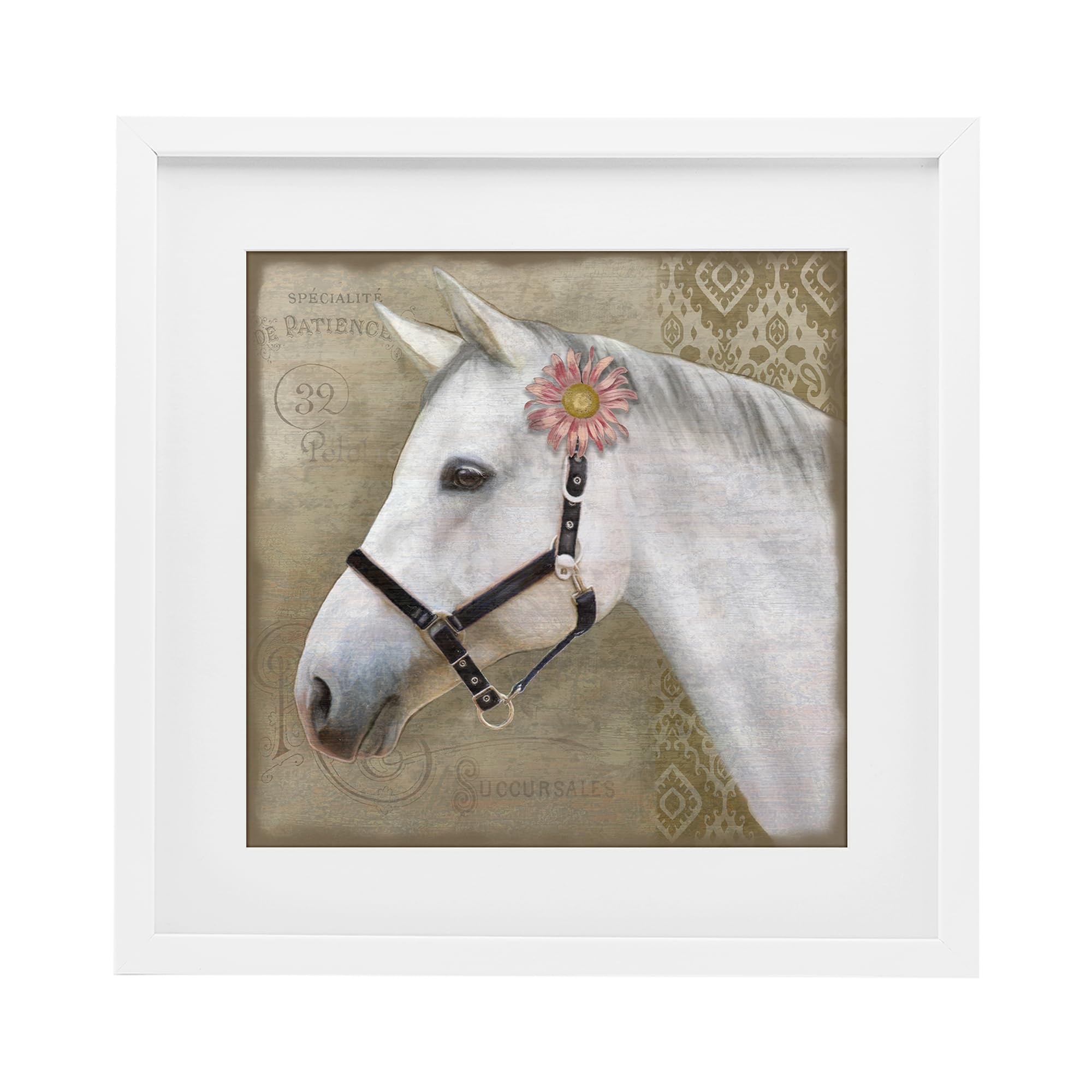Stupell Industries 'Boho Barnyard Horse', Framed Print Under Glass, White, 16 x 16 Inches, Easy to Hang and Sturdy, Made in USA, by Suzanne Nicoll
