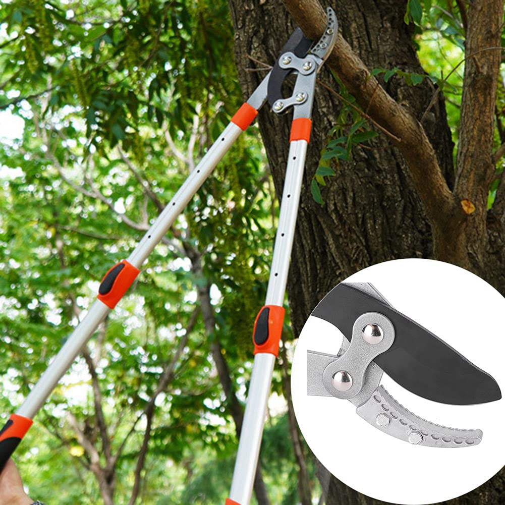 Tijeras de podar de jardín profesionales, mango telescópico ajustable de alta resistencia, tijeras de acero con alto contenido de carbono para podar árboles, flores, bonsái,