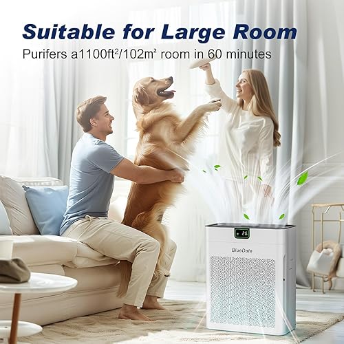 Miniatura 4 de Purificadores de aire para dormitorio con pantalla PM 2.5, sensor de calidad del aire, elimina el pelo de las mascotas, polvo, humo, olor, modo de
