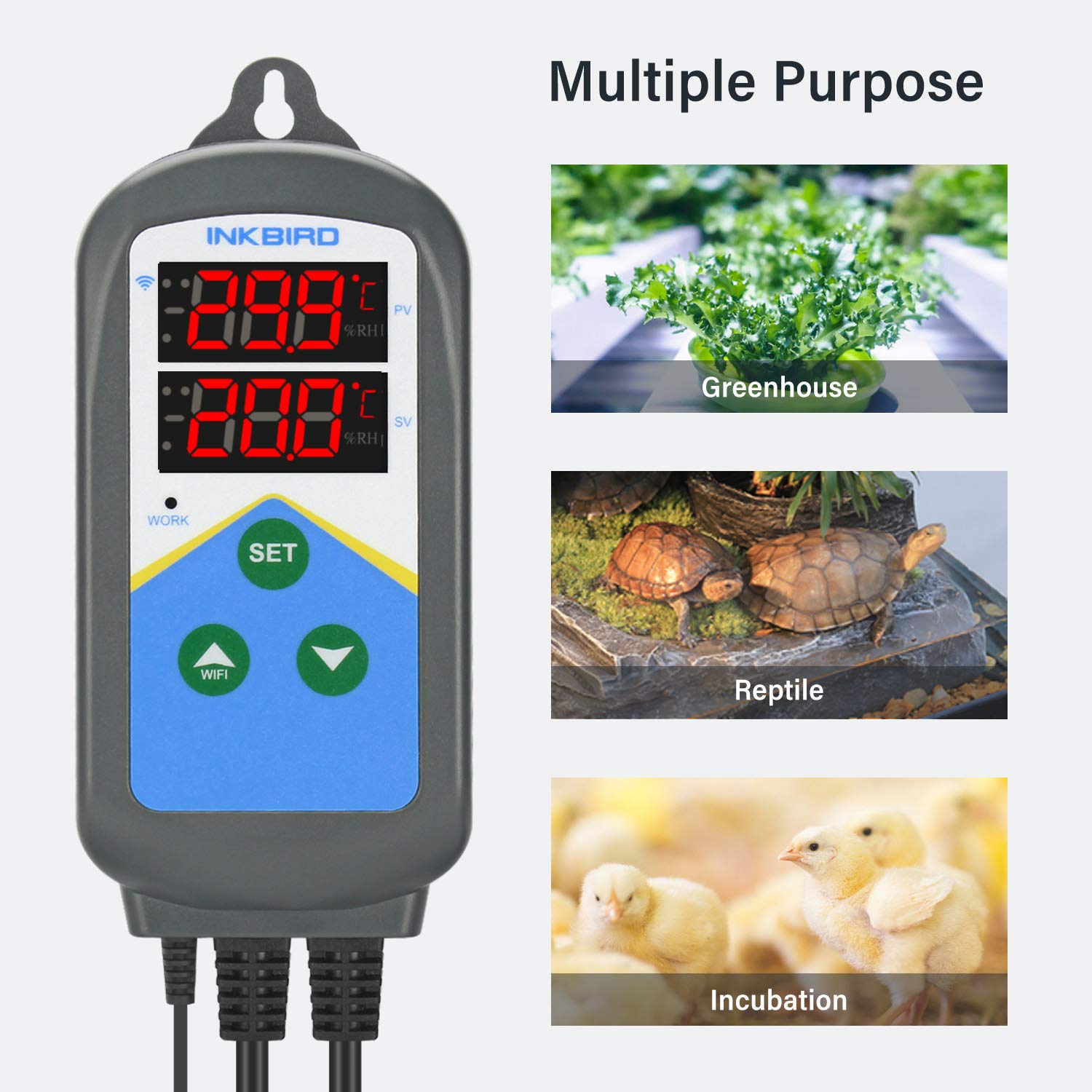 Inkbird WiFi Prise Thermostat Terrarium Jour Nuit pour Reptile Serre | Contrôle APP, Regulateur de Temperature, Contrôleur pour Appareils de Chauffage, Sonde Température, Fermentation Couveuse