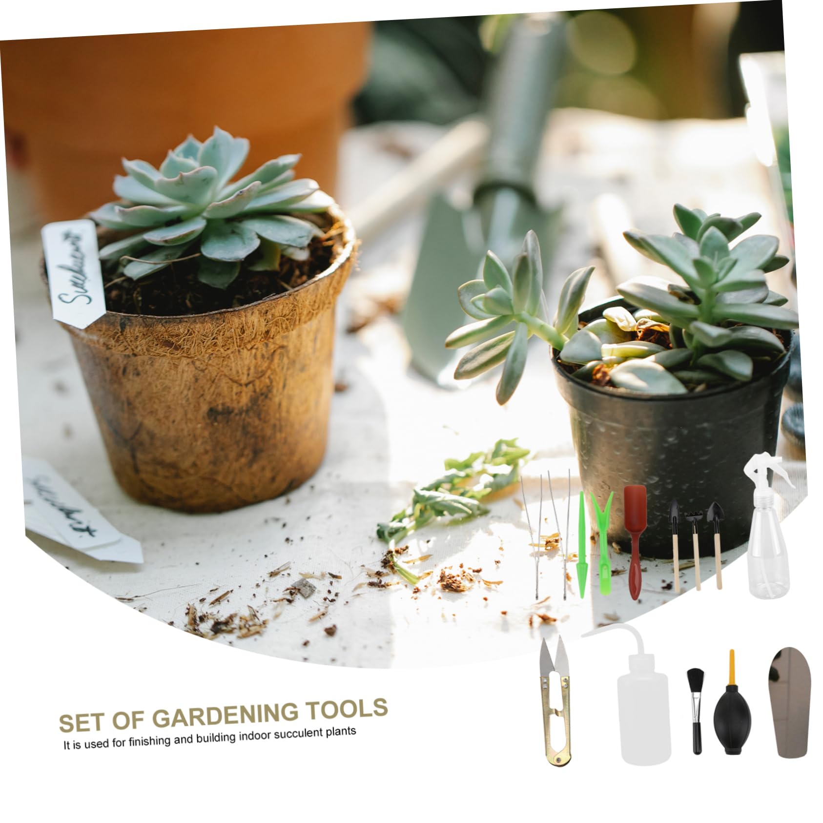 Toddmomy 3 Set Utensili Giardinaggio Materiale Durevole Attrezzi per Piantare Trapiantare Zappare e Irrigare Piante per Bonsai Piante Vaso e Cura Del Giardino