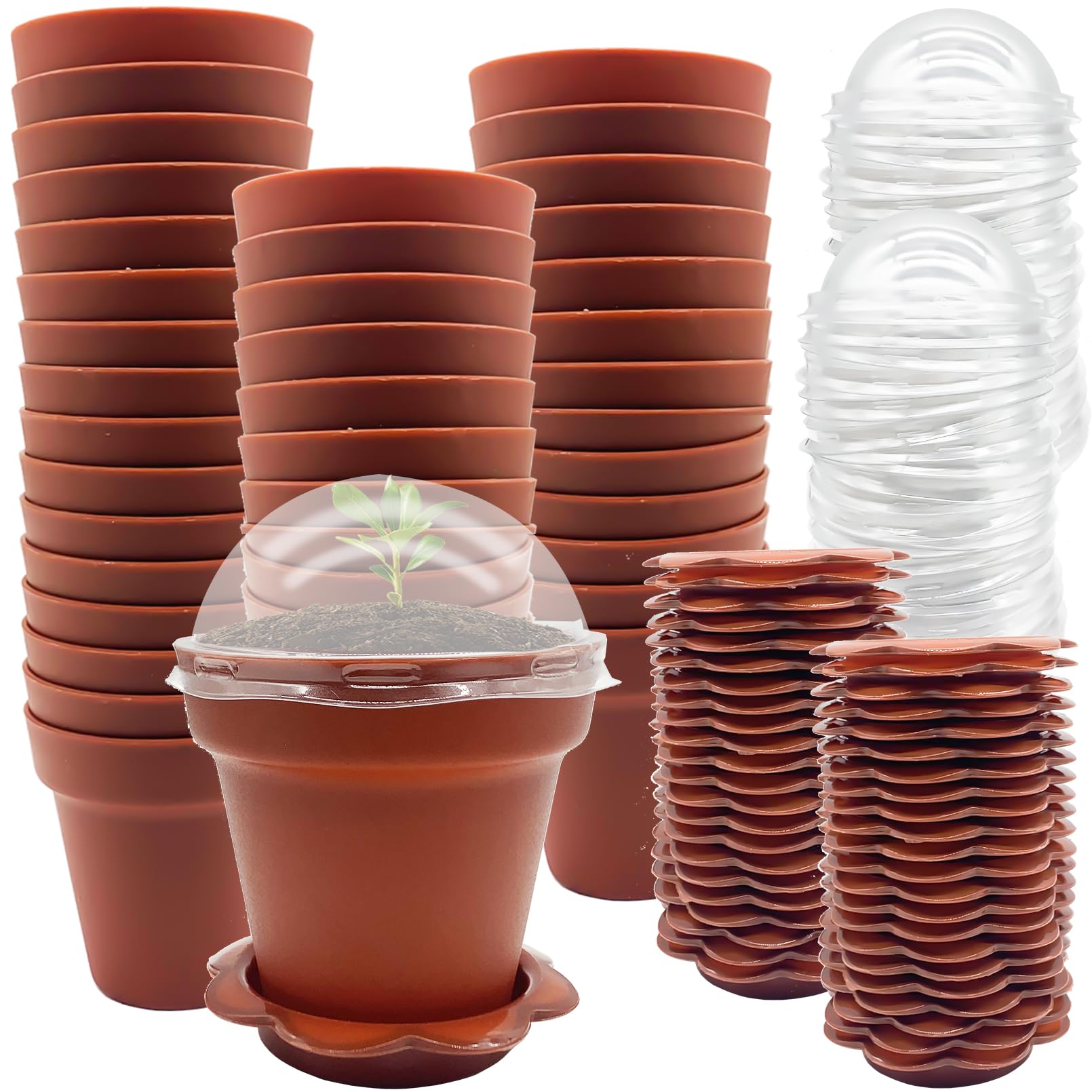 Muiltvoe 50 Packs Cupcake Plant Nursery Pots with Humidity Dome- Planting Containers Cups- Small Flower Pots with Trays & Lids for Indoor Outdoor Seedling Succulent Vegetable (Wine Red)
