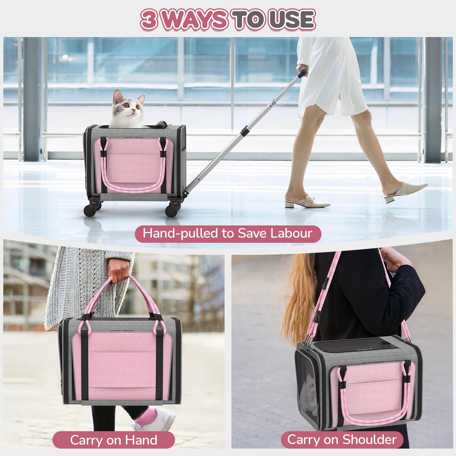 https://m.media-amazon.com/images/I/71n3KzqDu5L.jpg
