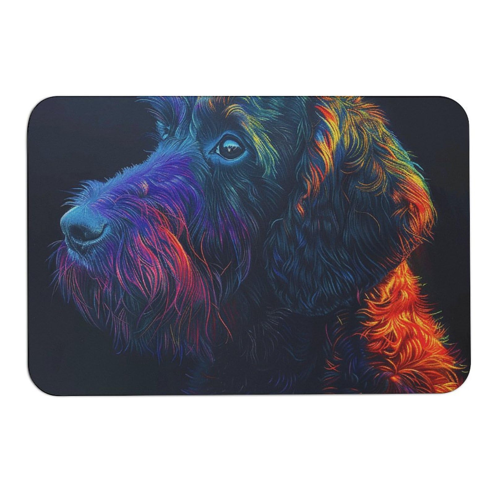 Tapis de bain antidérapant 60x40cm absorbant avec envers caoutchouc coloré
