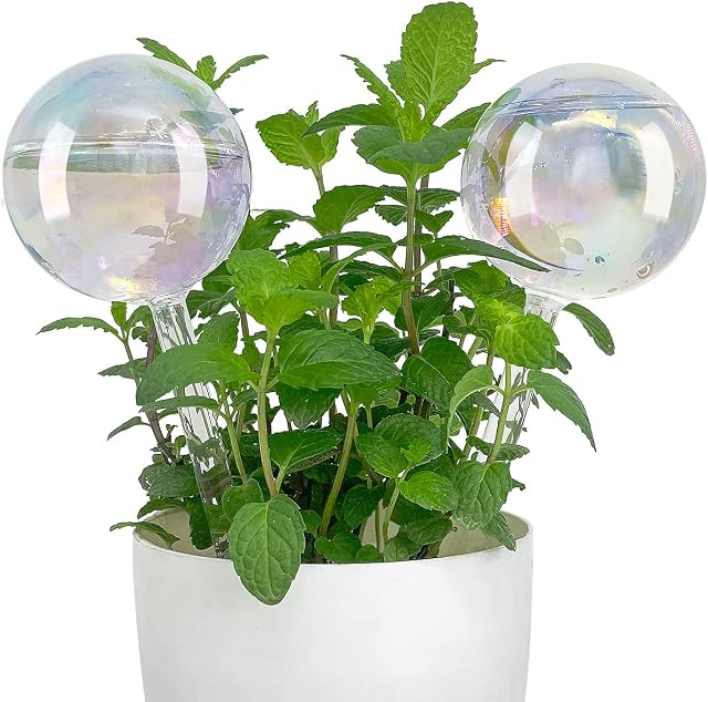 E-feilai Glass Watering Globes, Colorful Self Watering Spikes, Plant Watering Stake, Plant Waterer, Large Watering Bulbs for Indoor Plants (2 Pcs)