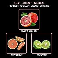 Vista 98 de LOVSPA Aceite Difusor Ocean Driftwood - Aceites Esenciales de Lujo para Recarga de Difusor y Ambientador en Aerosol para Habitaciones - Fragancia