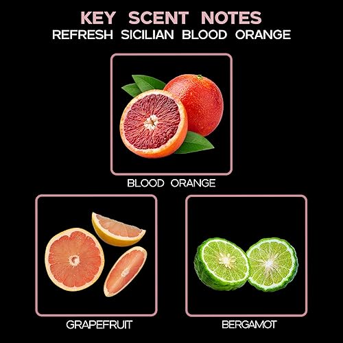 Miniatura 98 de LOVSPA Aceite Difusor Ocean Driftwood - Aceites Esenciales de Lujo para Recarga de Difusor y Ambientador en Aerosol para Habitaciones - Fragancia