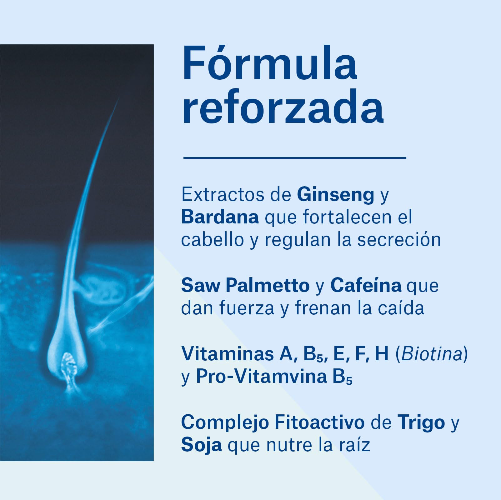 NaturVital - Champú Anticaída para Pelo Graso, Sin Parabenos ni Siliconas, Previene la Caída del Cabello, Champú Natural Fortificante, para Hombres y Mujeres, 300ml