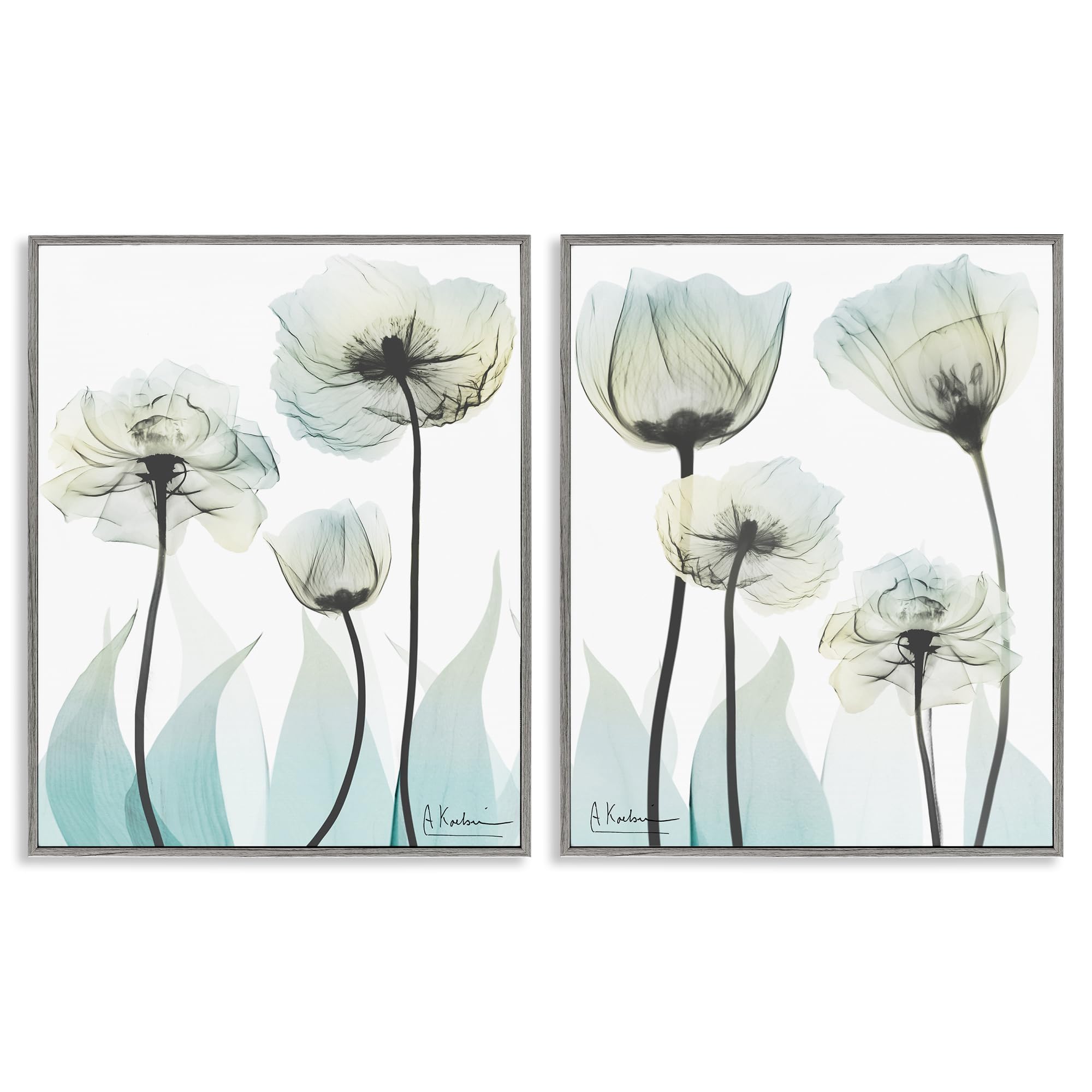 Stupell Industries 'Luxury Of Creation Flowers', 2pc Framed Giclee Art Set 2, Gray, 24 x 30 Inches, Easy to Hang and Sturdy, Made in USA, by Albert Koetsier