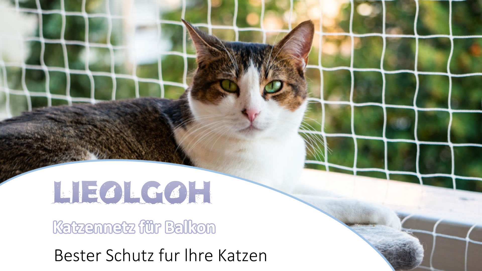 Katzennetz Transparent Katzennetz Für Balkon, 6 X 3 M Katzennetz Drahtverstärkt Katzennetz 8x3m