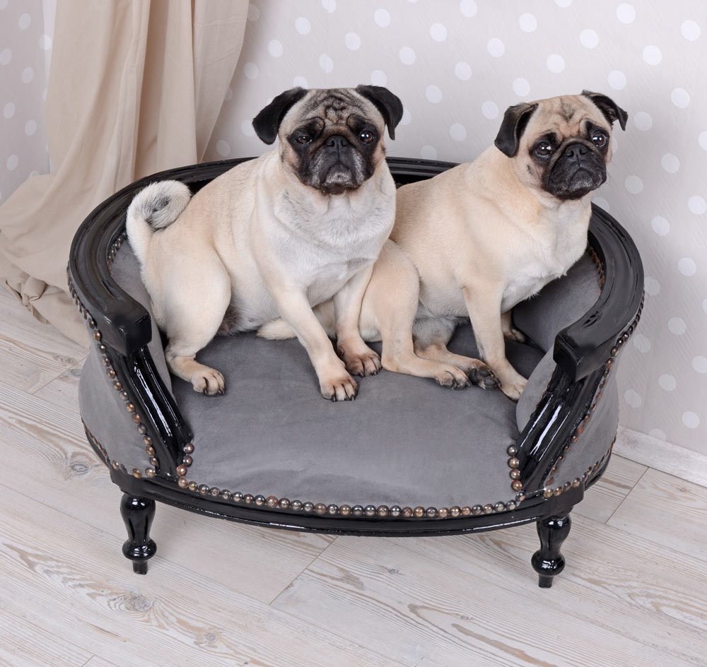 Cama para Perro mopsbett barockbett French Bully Cama Sofá para Perro hundebettchen Palazzo Exclusivo