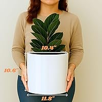 Vista 6 de Fox & Fern - Maceta (fibra de piedra) Padre