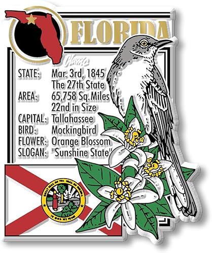 Miniatura 2 de Classic Magnets - Juego de imanes de seis piezas de Florida con 6 diseños únicos, recuerdos coleccionables de goma 3D estilo vintage y regalos