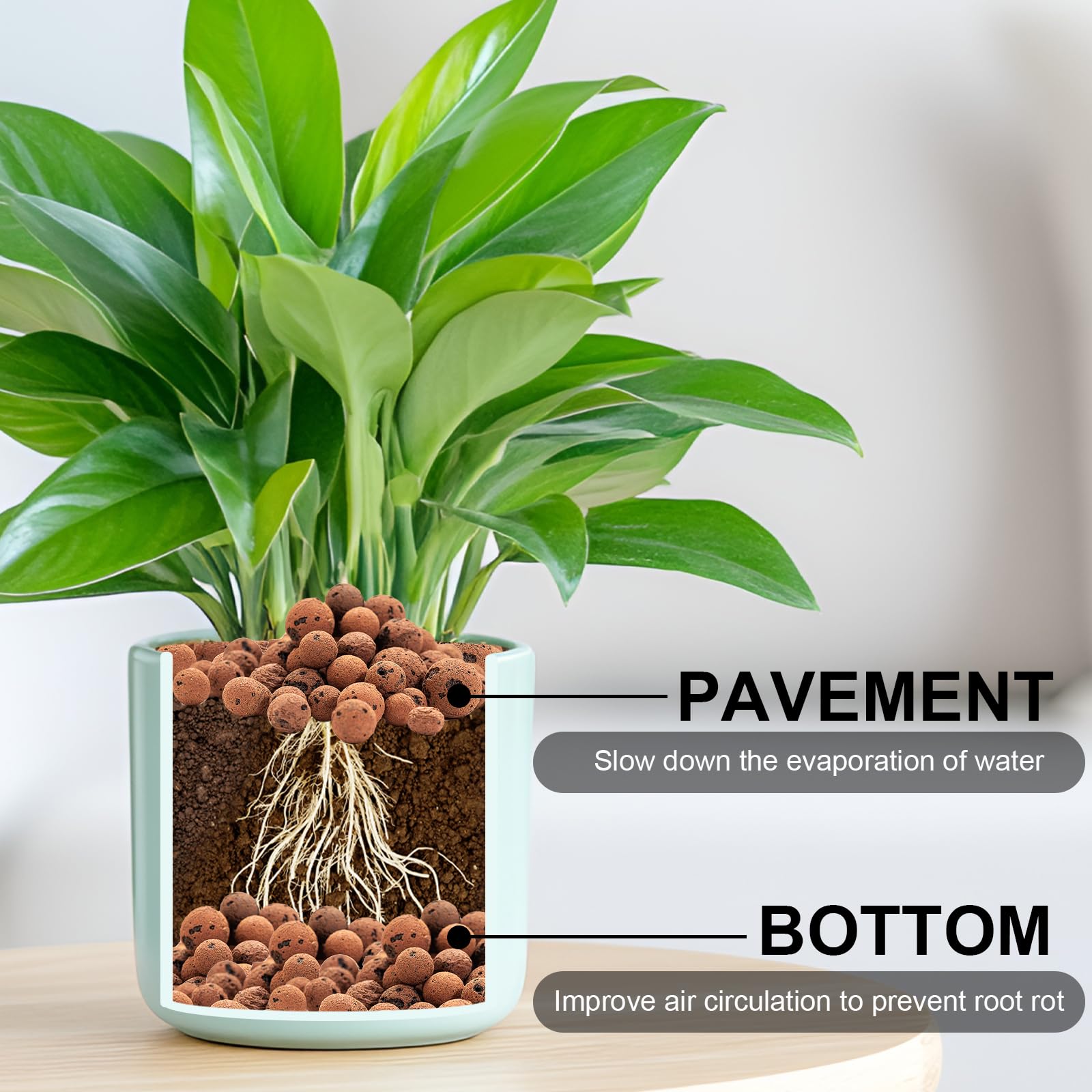 GOTVUGE Clay Pebbles Leca Balls for Plants,Clay Balls for Hydroponic Terrarium, Potted Plants, Lightweight & Drainage (4L) - Image 3