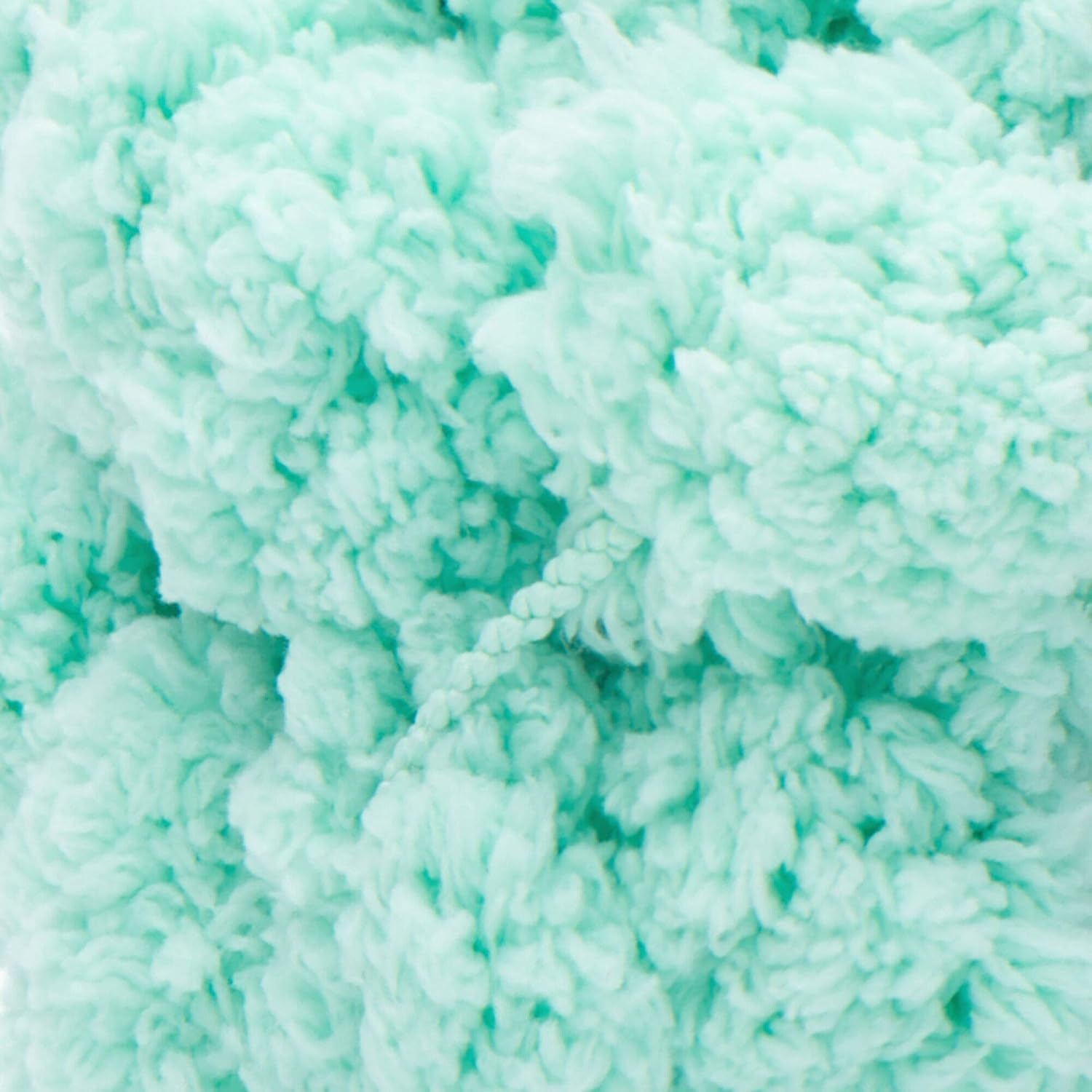 RED HEART Pomp-A-Doodle yarn Menthe