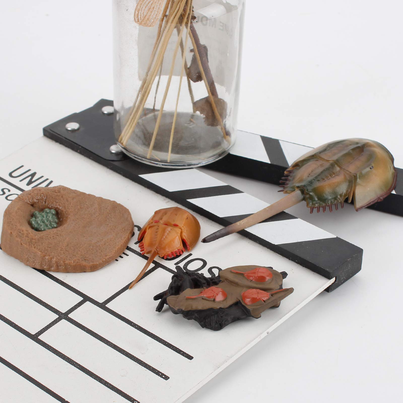 Amazon.co.jp: Fantarea 海洋動物フィギュア 海洋生物