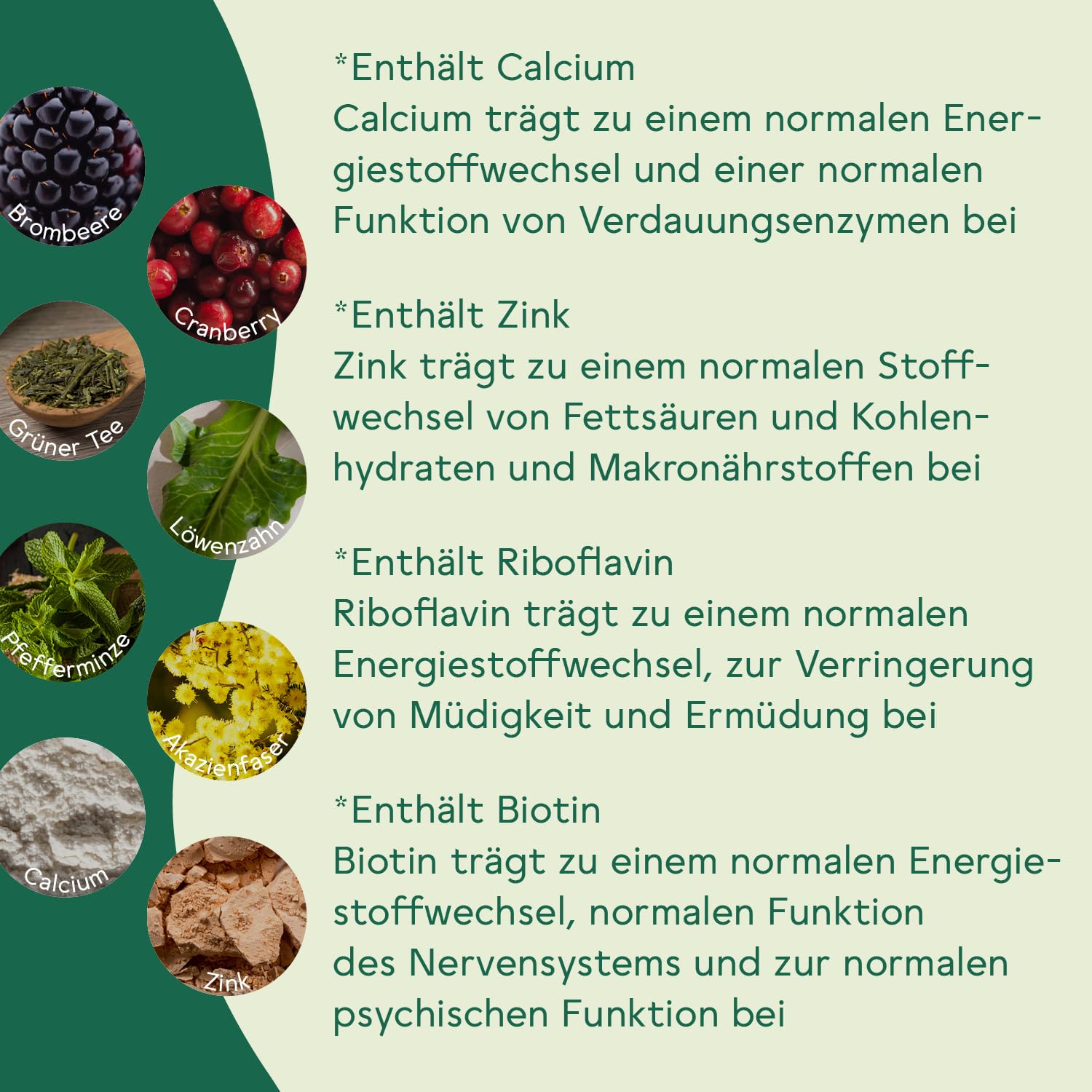 BitterLiebe Ballaststoff Pulver mit Brombeere Geschmack - Mix aus Flohsamenschalen gemahlen, Inulin (Präbiotika), Apfelfaser und Akazienfaser - Multi Ballaststoff Komplex, perfekte Darmkur - 2x300g
