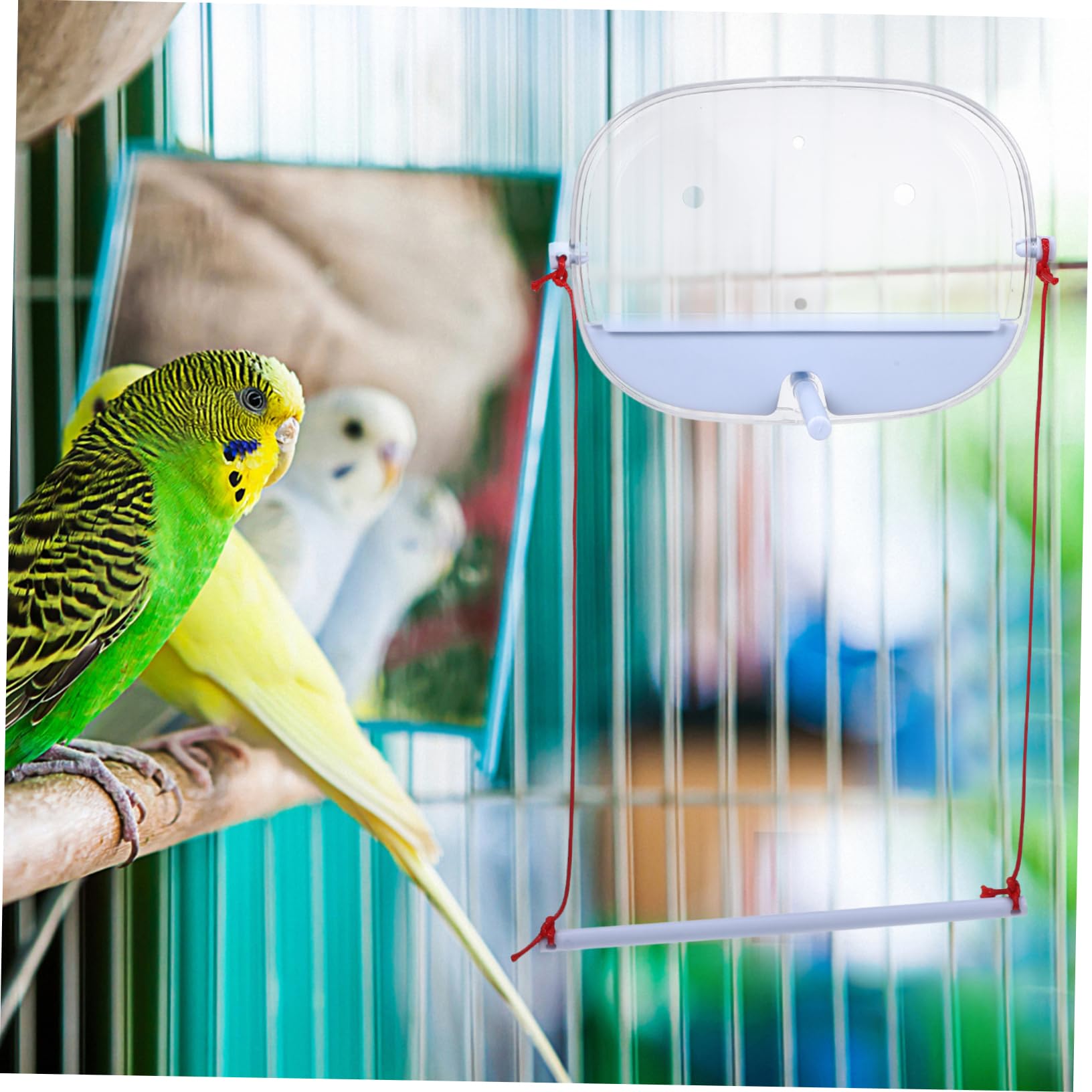 BESPORTBLE 4 Juegos Comedero para Pájaros Comedero para Jaula De Pájaros Ventosa del del Colibrí De La Ventana De Agua para para Loros con Lechón PD