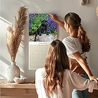 Vista 745 de Razas de Perros 2017