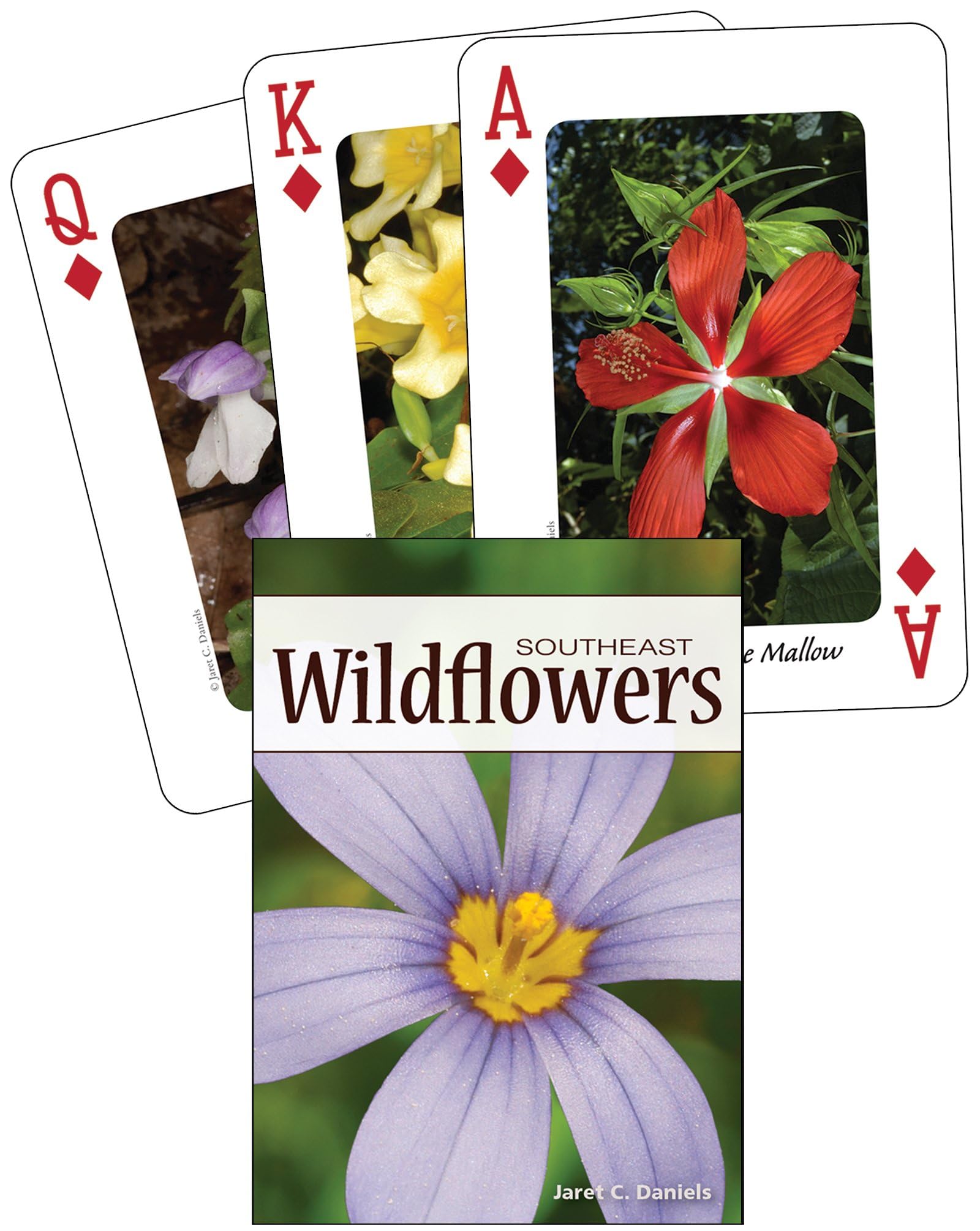 Wildflowers of the Southeast Playing Cards (Nature's Wild Cards)